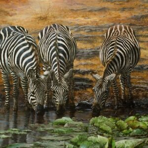 three-zebras