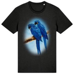 hyacinth-macaws