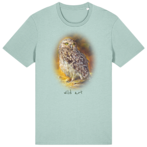 little-owl