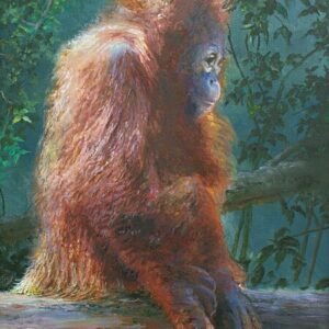the-orangutan