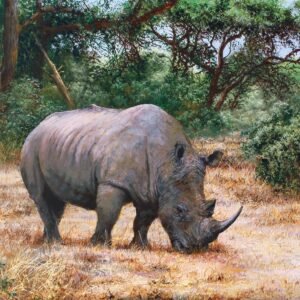 the-last-grazing