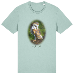 barn-owl-watching
